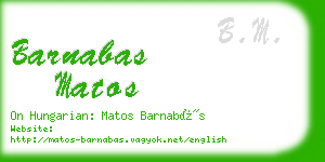 barnabas matos business card